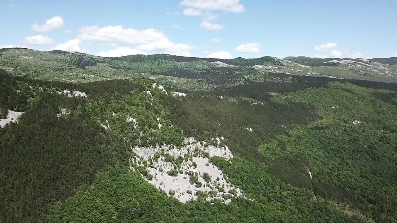 Appartamento Seventh House Ilirska Bistrica Esterno foto