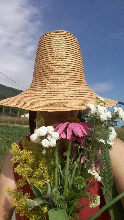 Appartamento Seventh House Ilirska Bistrica Esterno foto